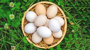 আজ বিশ্ব ডিম দিবস